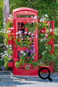 Telephone Box being used as a Planting shed